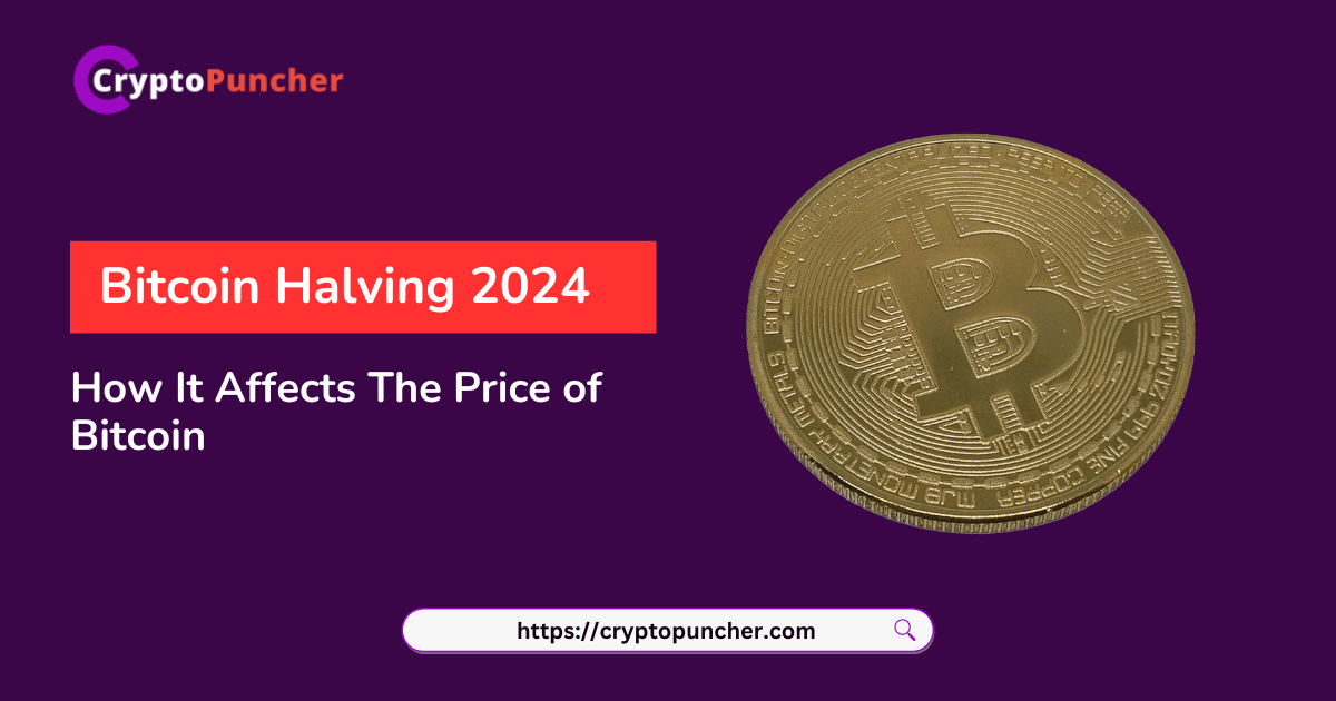 Bitcoin Halving 2024 How It Affects The Price of Bitcoin