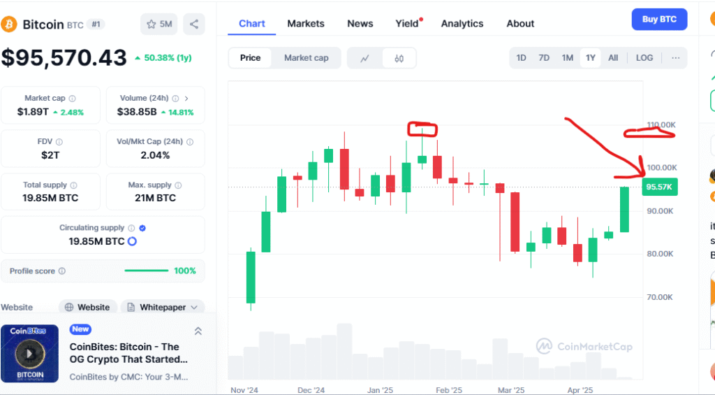 Bitcoin price chart 2025, bitcoin for beginners