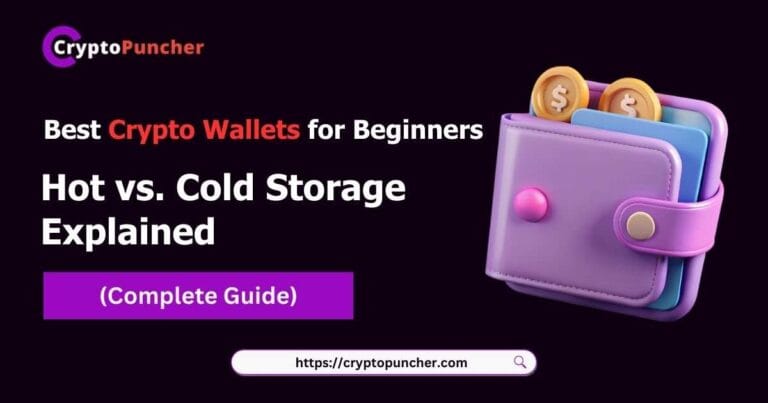 Best Crypto Wallets for Beginners Hot vs. Cold Storage Explained (2026 Guide)