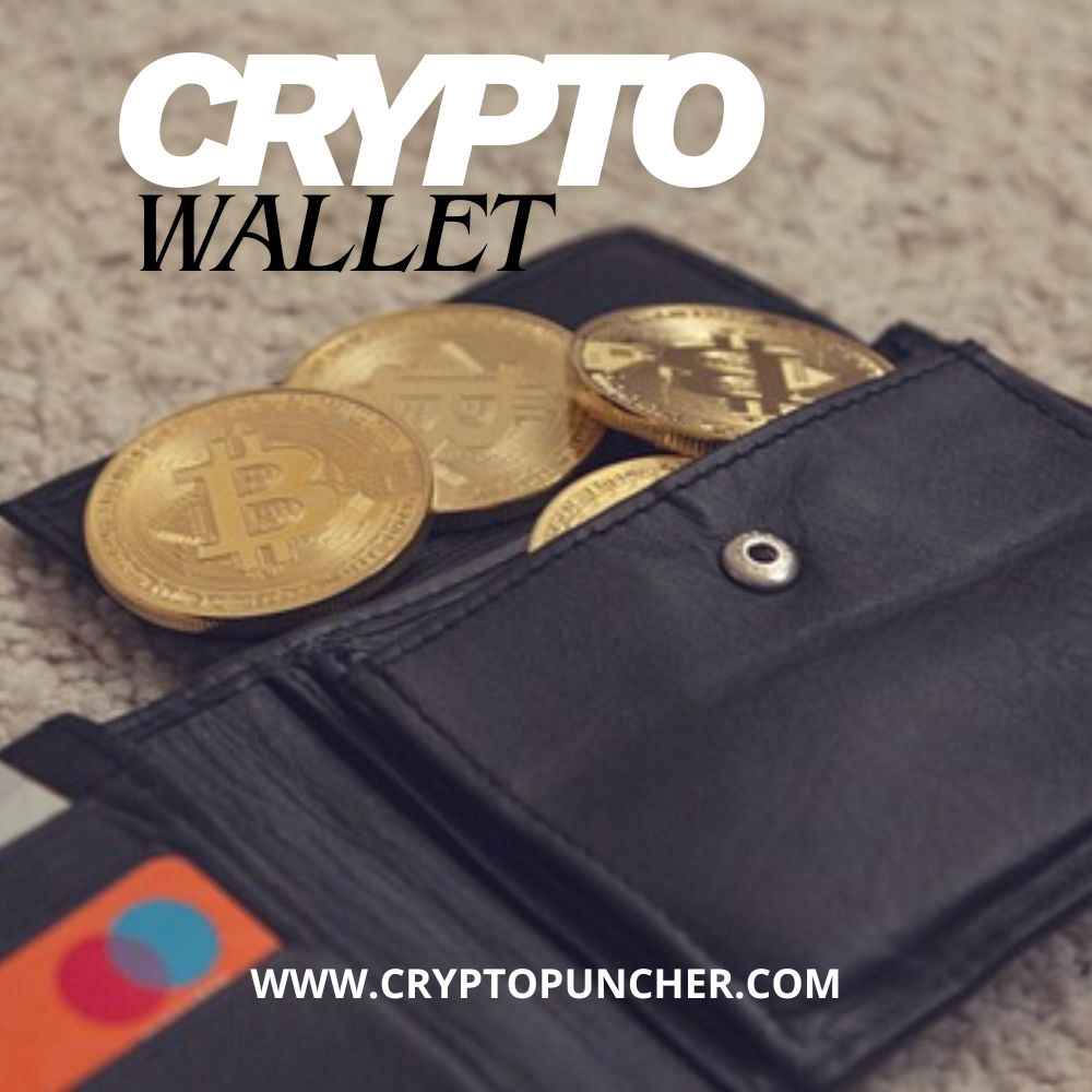 Best beginner crypto wallets in 2026
